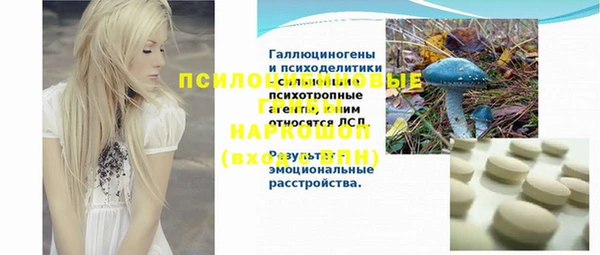 сатива Алексеевка