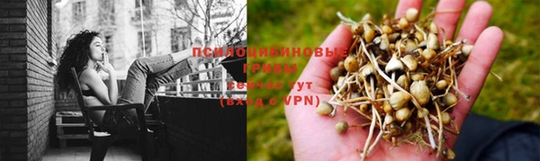 каннабис Алзамай