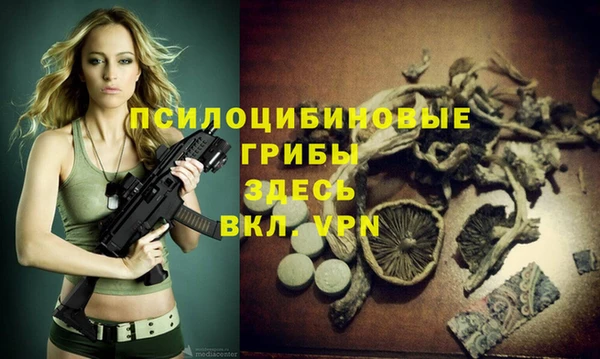 Альфа ПВП Алексин