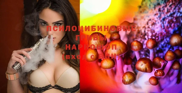 Альфа ПВП Алексин