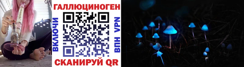 Галлюциногенные грибы MAGIC MUSHROOMS как найти наркотики Ахтубинск